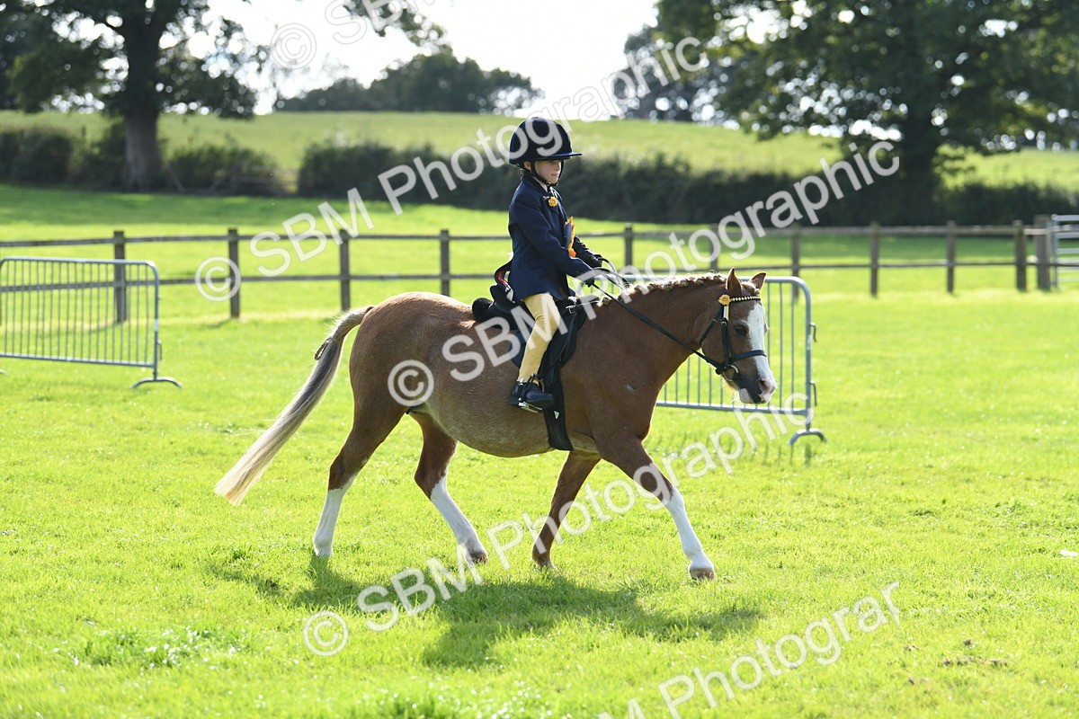 SBM_50530 - S21 - Novice & Newcomers 1st Ridden Pony