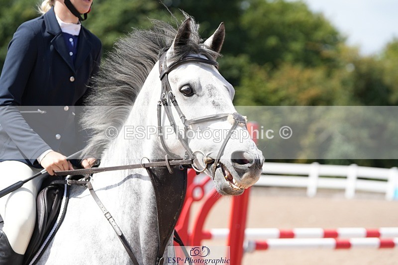 250802-114728-09706 - Cls 21 85cm Amateur Championship Qualifier