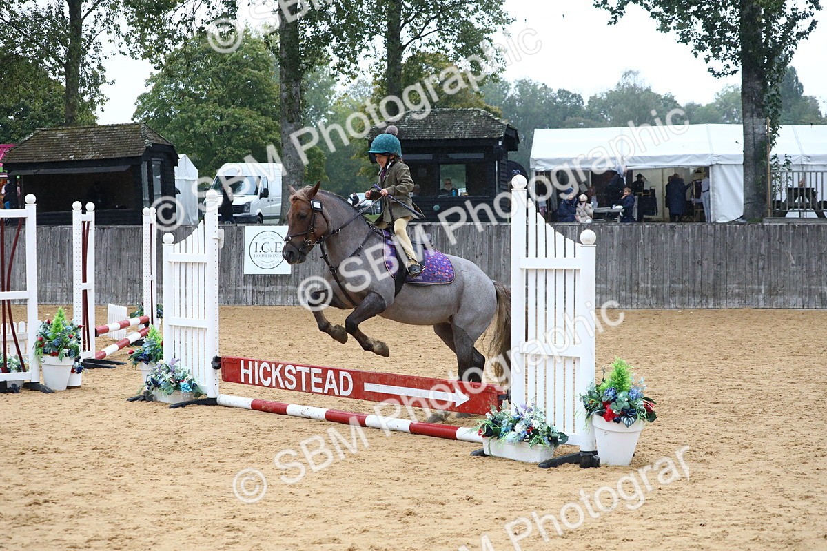 SBM_71493 - J4 - Mini Tour Junior Pony 45cm Championship