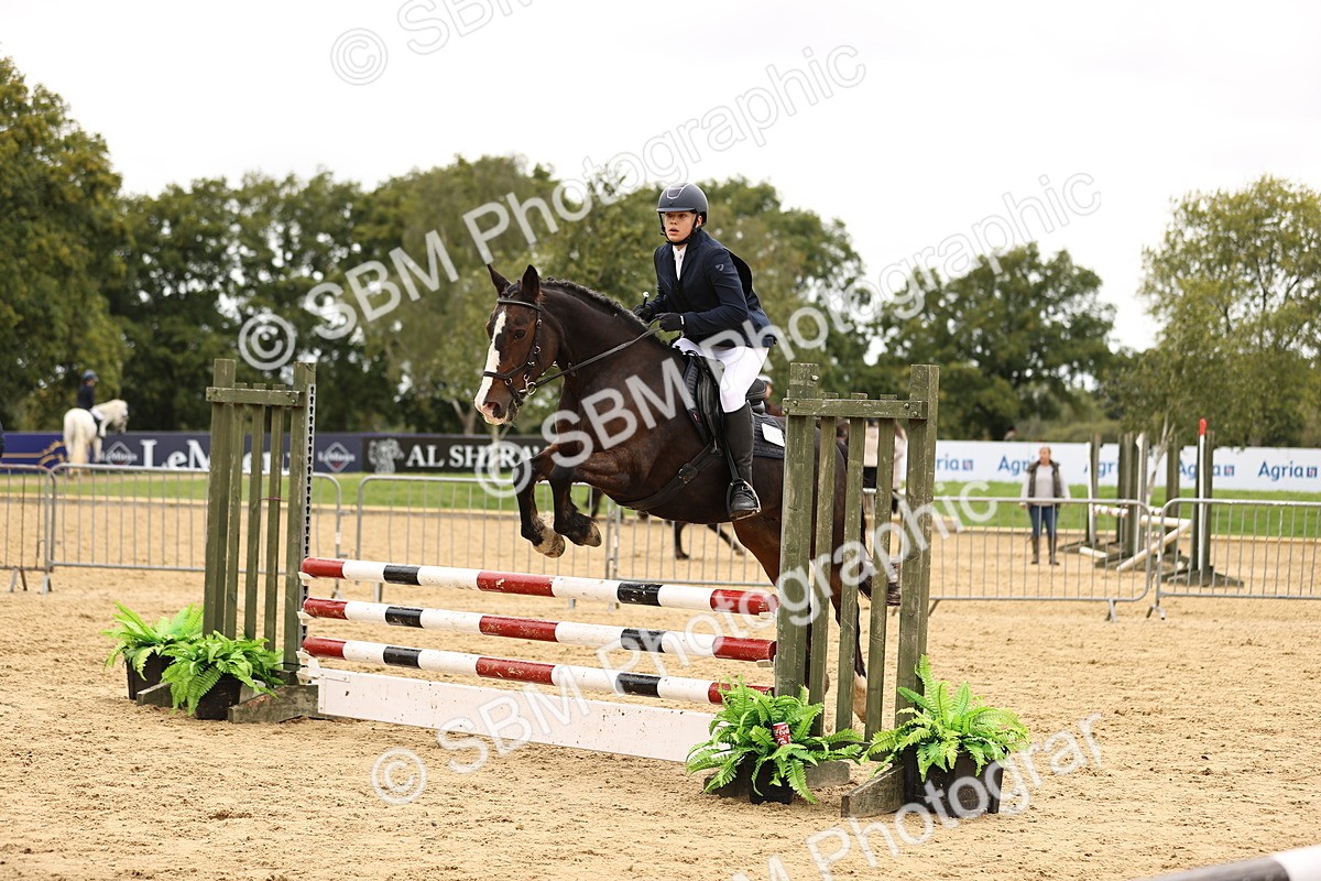 SBM_64799 - J17 - Junior Pony 80cm Championship
