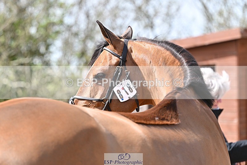 260422-132801-00708 - 12.30 to 1.30