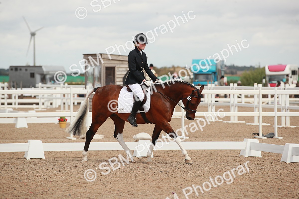 SBM_05918 - Class 32 - Novice 1