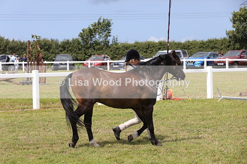 1X9A4719 - Class 35: Veteran In Hand