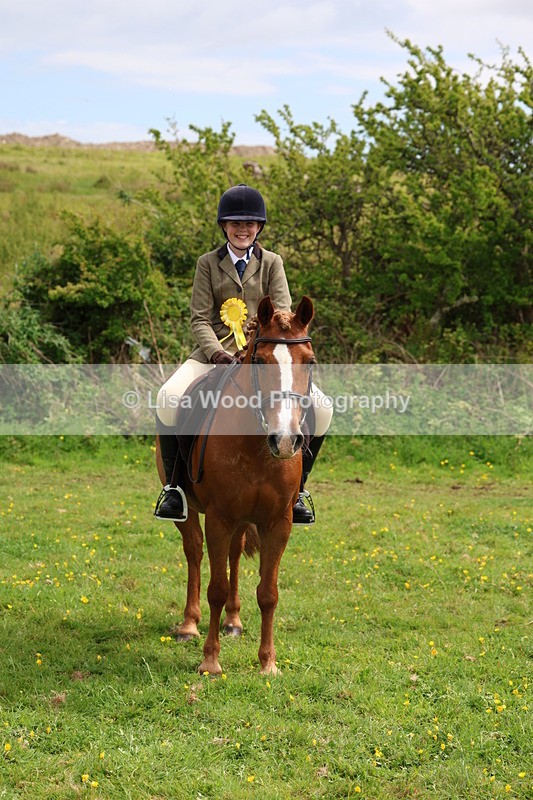 3E7A1624 - Class 8: Ridden Veteran Junoir and Senior