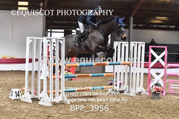 BPP_3956 - CLASS 17  Senior Foxhunter/ 1.20m Open