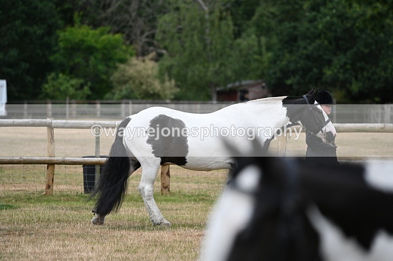WJ6_4157 - Class 10 Coloured In-hand