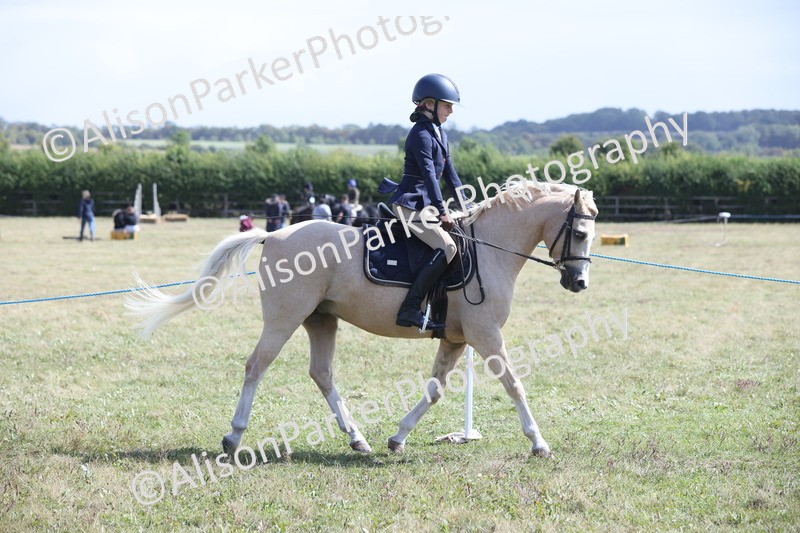 20250831-2822 - Class 18 - Childs First Pony