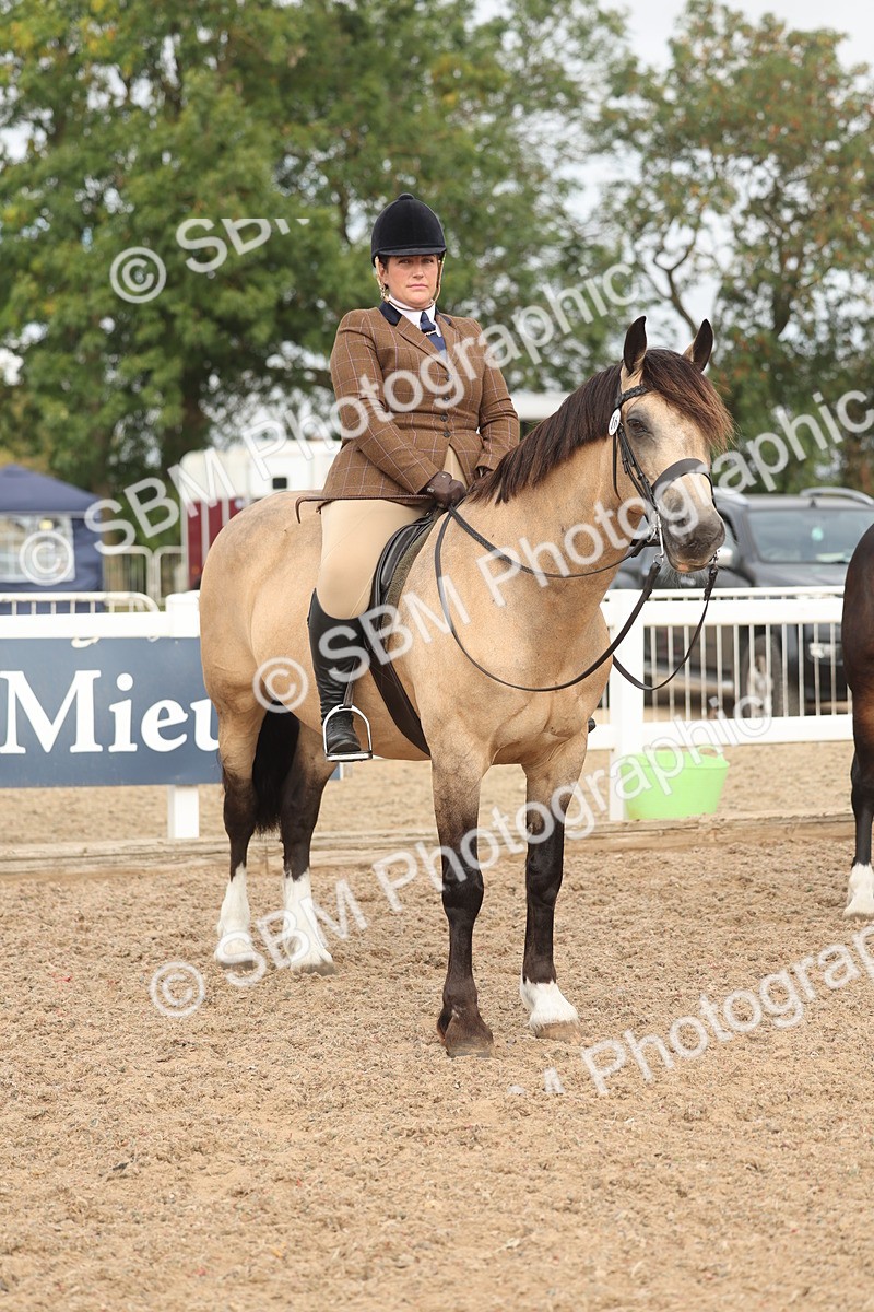 SBM_01928 - Class 14 - Ridden M&M Wildcard