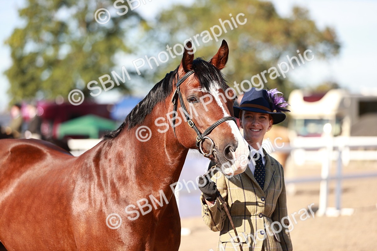 SBM_11428 - Class 402 - IH  Veteran pony