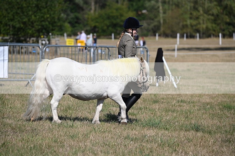 WJ6_4161 - Class 16 Condition & Turn Out