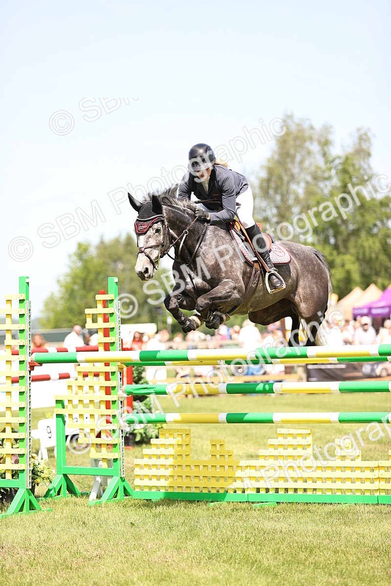 SBM_04024 - Class 201 - British Horse Feedds Speedi Beet HOYS Grade C