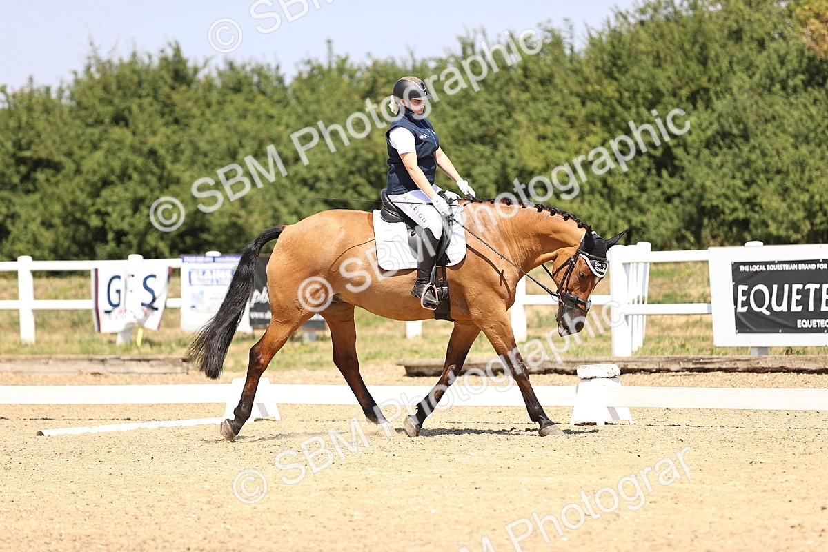 SBM_003991 - Intro 2