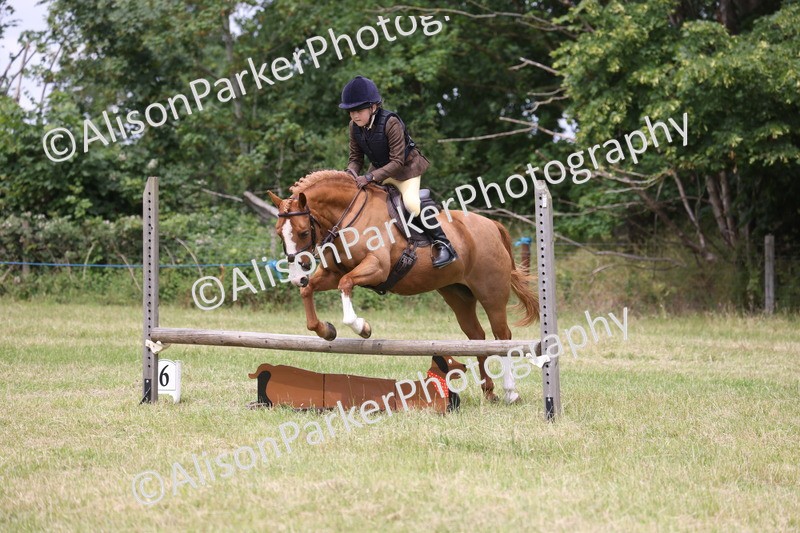 20260614-2884 - Class 22 - Open Working Hunter