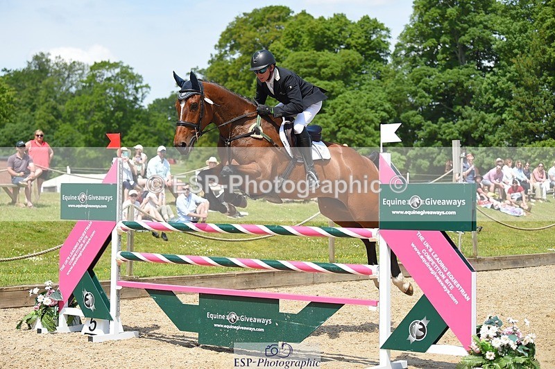 230528-121428-15601 - 312-J'ADORE_SALSA-Michael_Owen-SUNTrotUp+SJ