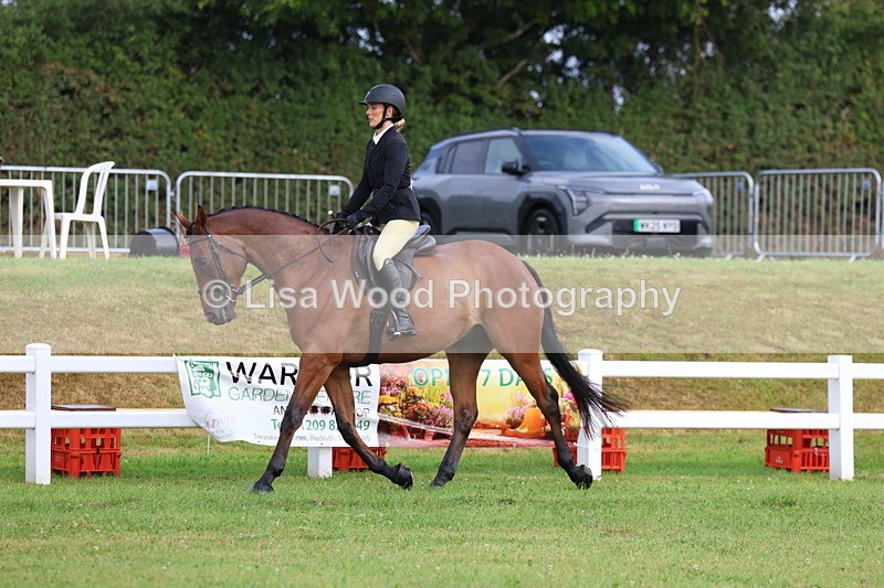 3E7A8124 - Class 2: Rising Star Large Hack/Riding Horse