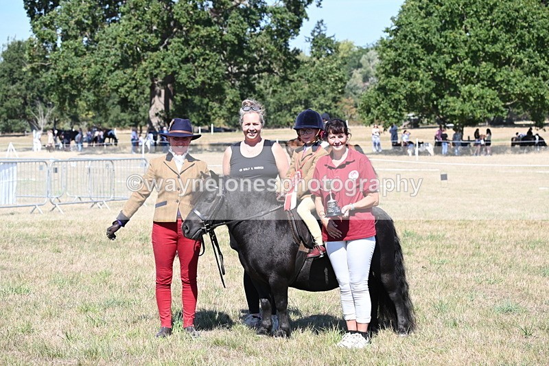 WJ6_8119 - Class 36 Lead Rein