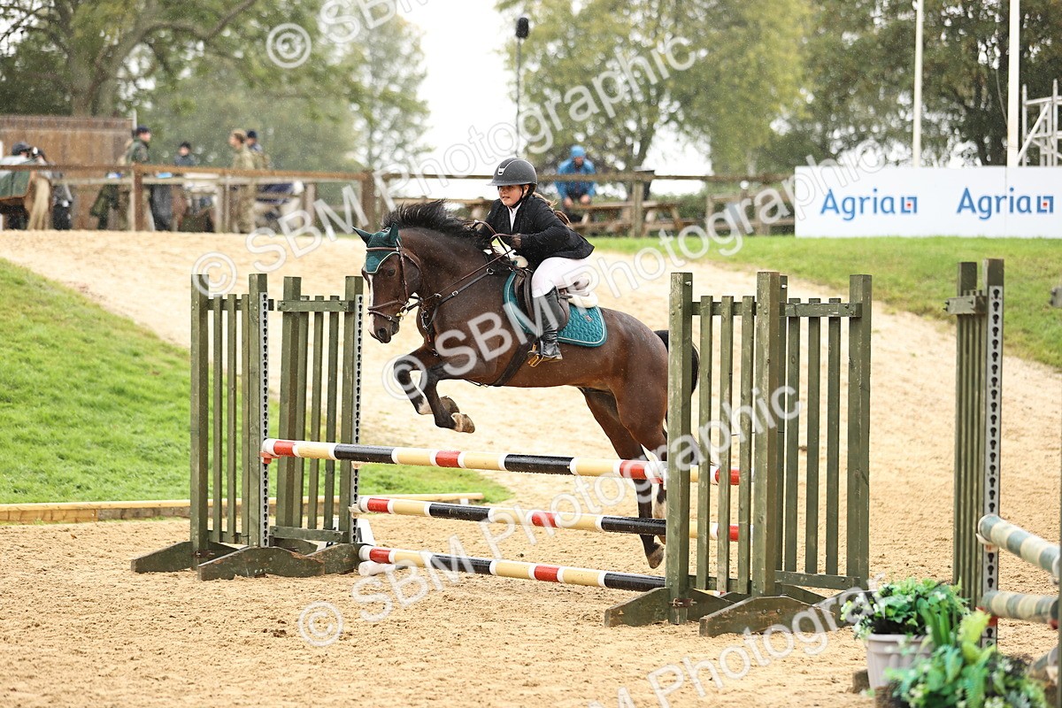 SBM_69920 - Supreme Championship 80cm 85cm