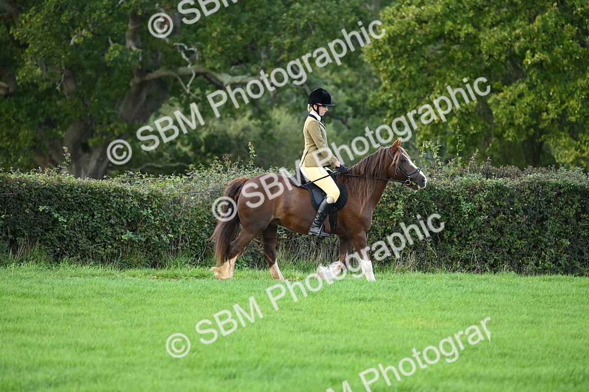 SBM_02552 - S3 - TSR Ridden Pony Showing
