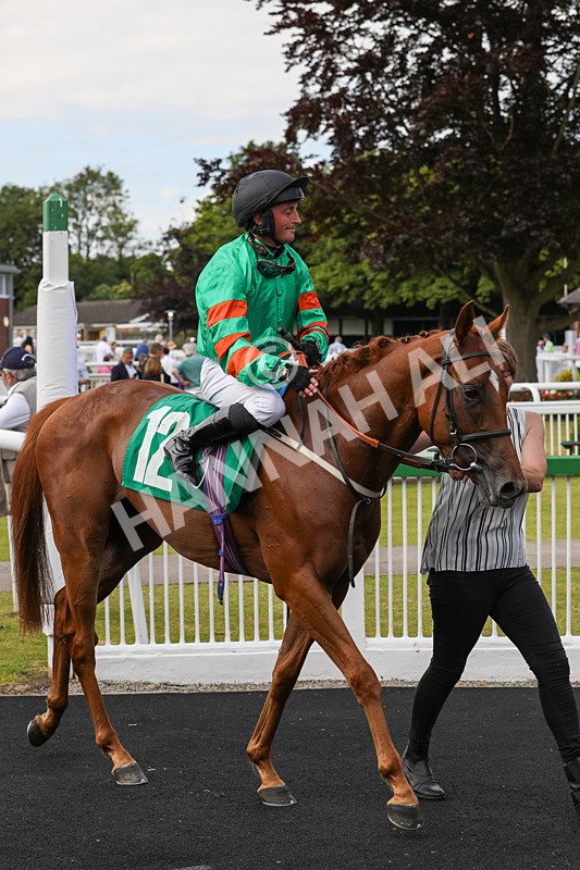 240624-Race 6-Profiteer-0465 - Race 6