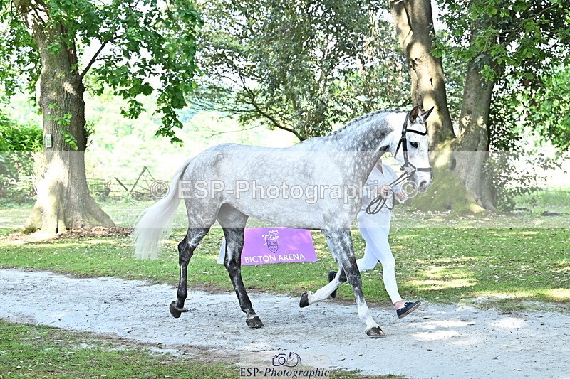 250521A-155403-00829 - B-377-Millie.Juleff-CFH.DAKAR.HILL