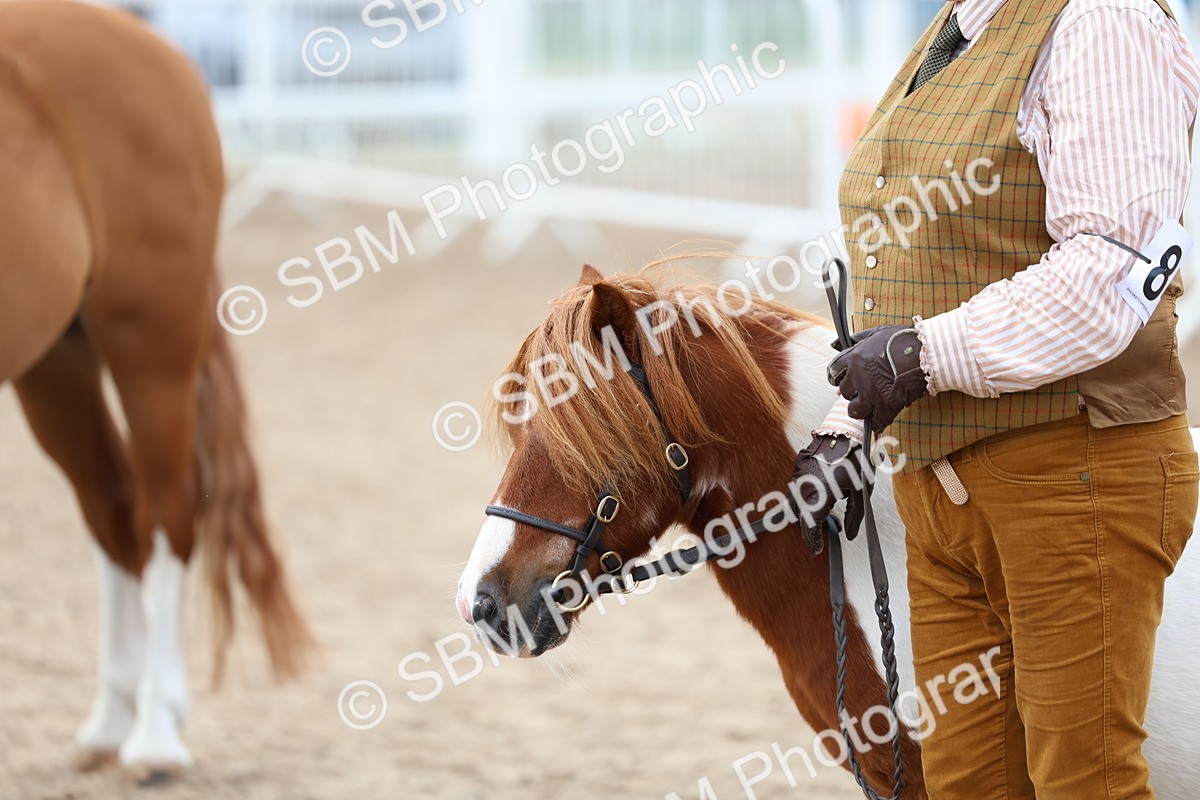 SBM_05940 - Class 29 - IH Veteran Pony