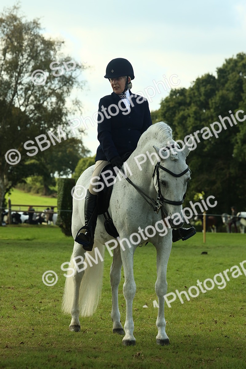 SBM_62434 - S62 - Foreign Breeds Ridden