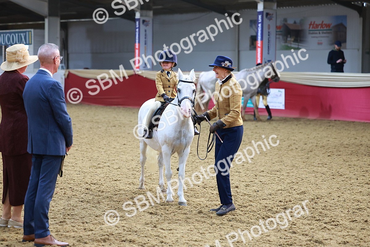 SBM_07704 - Class 101 - HOYS Veteran Qualifier - Ridden Diamond
