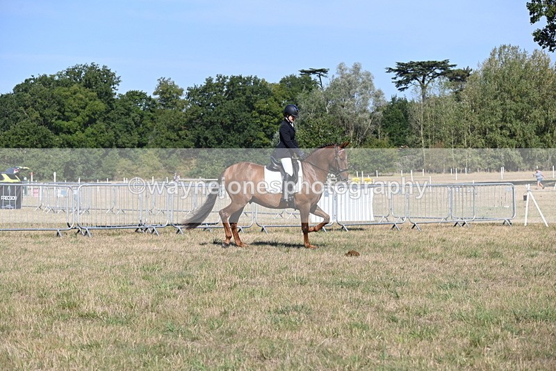 WJ6_7216 - Class 33 Rescue Pony