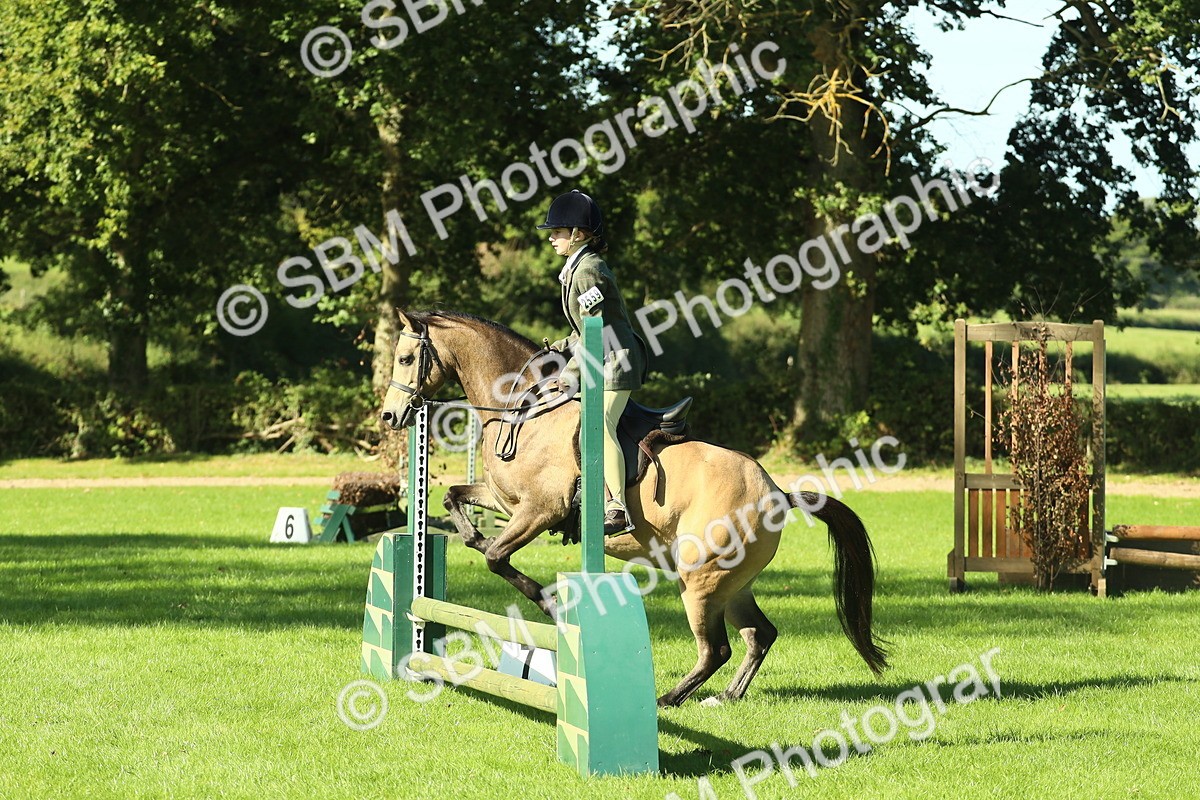 SBM_36508 - S29 - Novice & Newcomers Working Hunter Pony