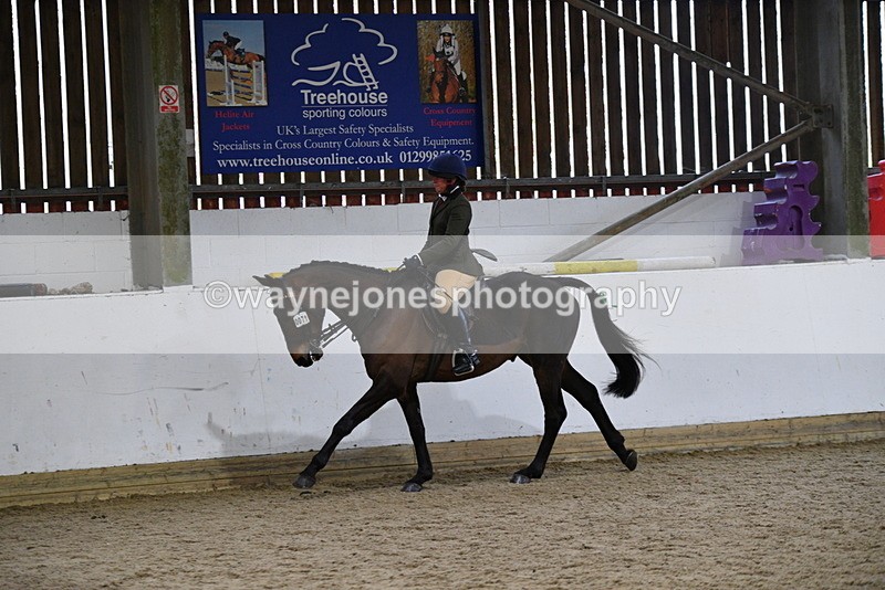 WJ5_8012 - Class 13 Ridden Part Breed