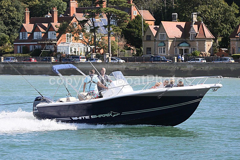 160911 WHITE SHARK Y92A0919 - RIBs, Tenders, Dories, Dinghies