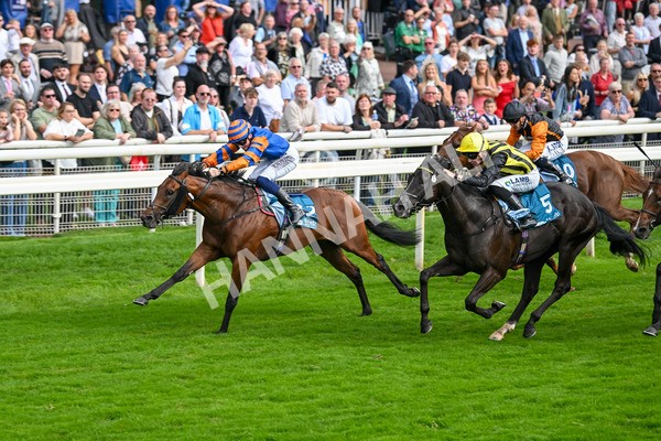 080925-Race 4-Zain Blue-7619 - Race 4 4.00pm Sky Bet Extra Places Middle Distance Handicap