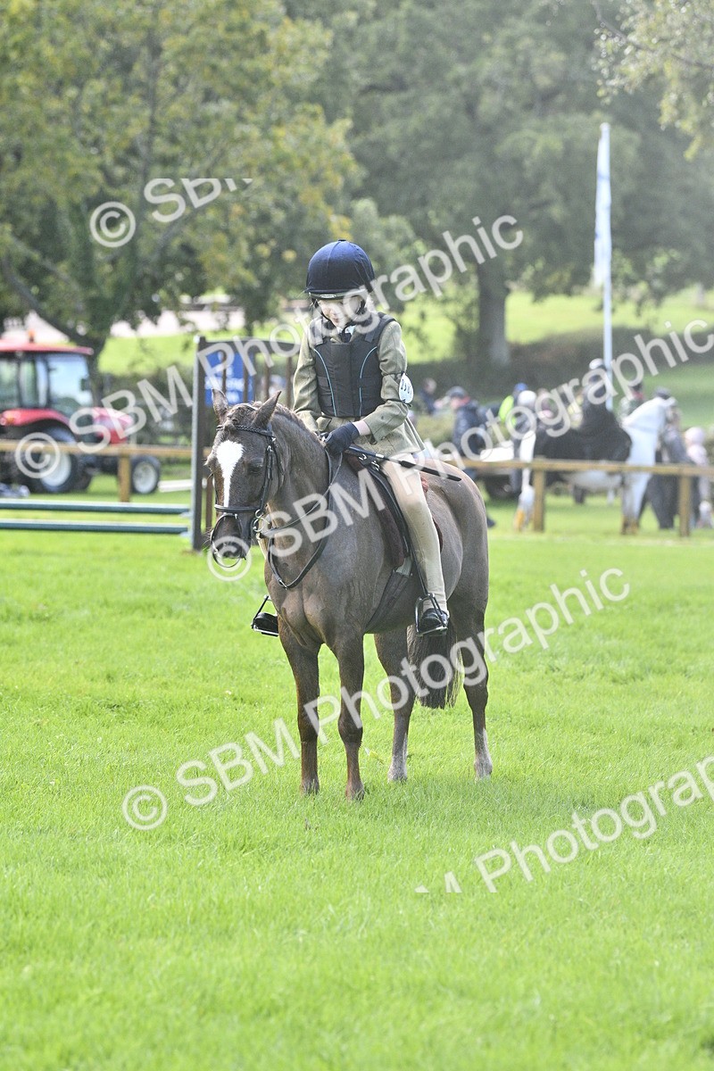 SBM_37201 - S31 - Novice & Newcomer Working Hunter Pony