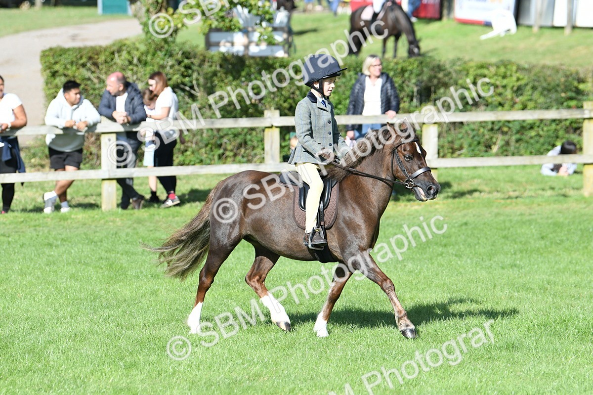 SBM_50414 - S21 - Novice & Newcomers 1st Ridden Pony