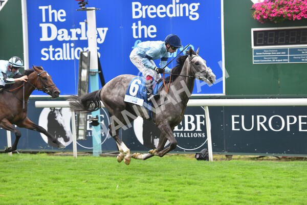 yr19082021r5-28 - Race 5 4.10pm OR8wellness ebfstallions Nursery Handicap