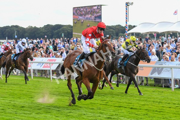 280723-Race 1-Tele Red-0071 - Race 1 5.00pm Pearly Cow Handicap