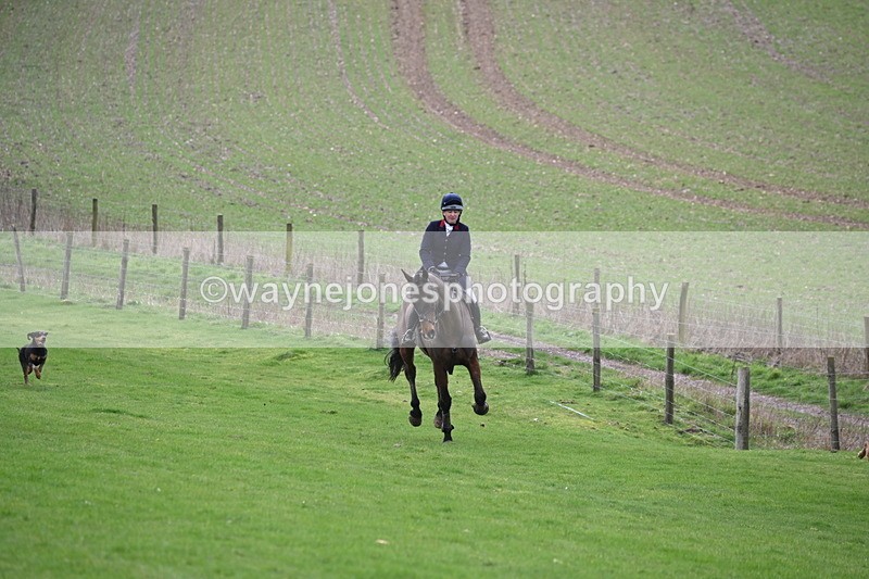 WJ6_8987 - Line Three