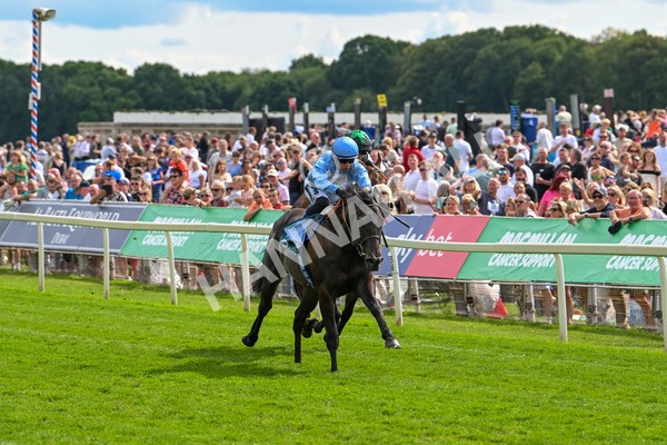 140625-Race 5-Egoli-3072 - Race 5 4.10pm Reg Griffin Appreciation EBFstallions.com Maiden Stakes