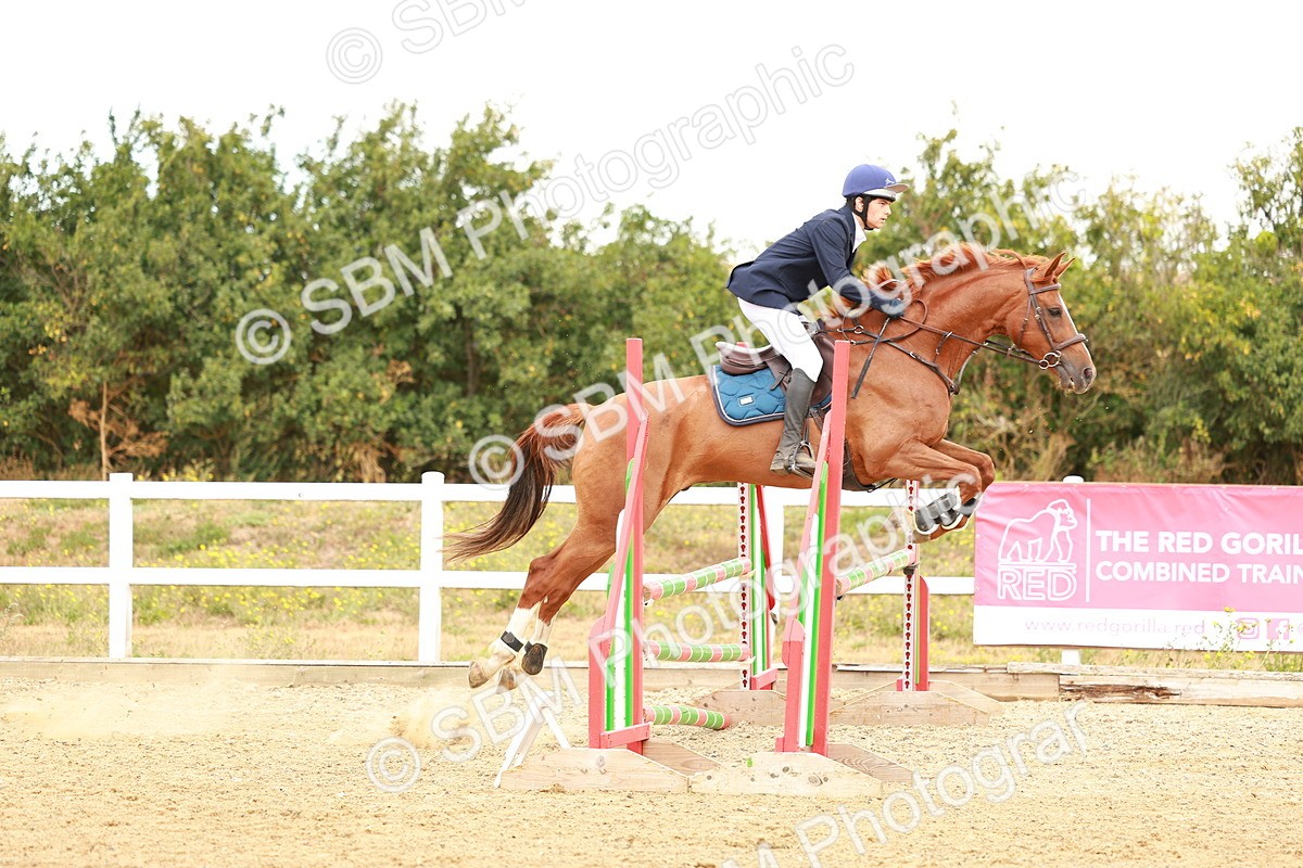 SBM_005139 - Class 2 - Senior British Novice - 90cm