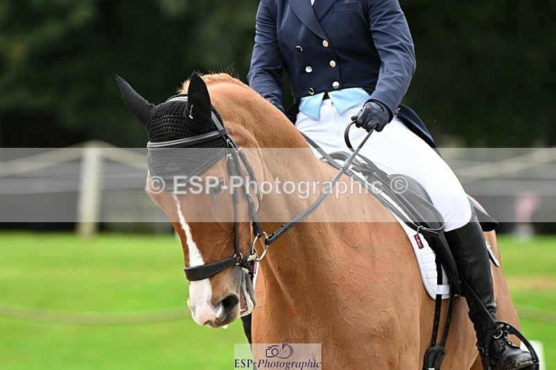 231019-130120-02909 - 049-AUGUSTUS.IMPERIOUS-Ines.Mitchell-DR