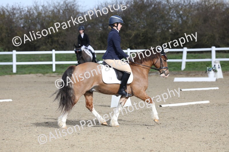 20260314-0270 - DR1 - Intro 1