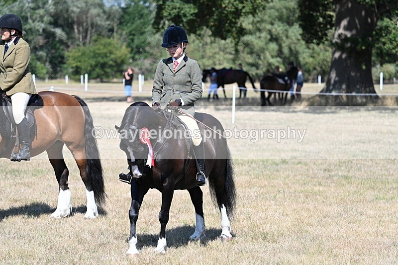 WJ7_4131 - Class 9 Mountain & Moorland Ridden