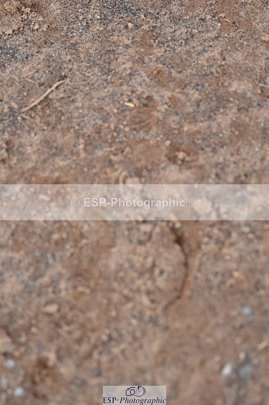 240303A-134238-00573 - Presentations