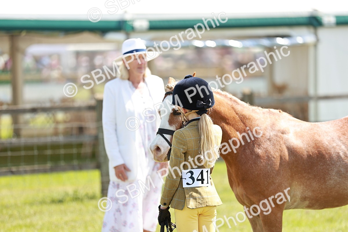 SBM_13630 - Class 108-109 - BSPS LIHS Open Gradle & Nursery Stakes