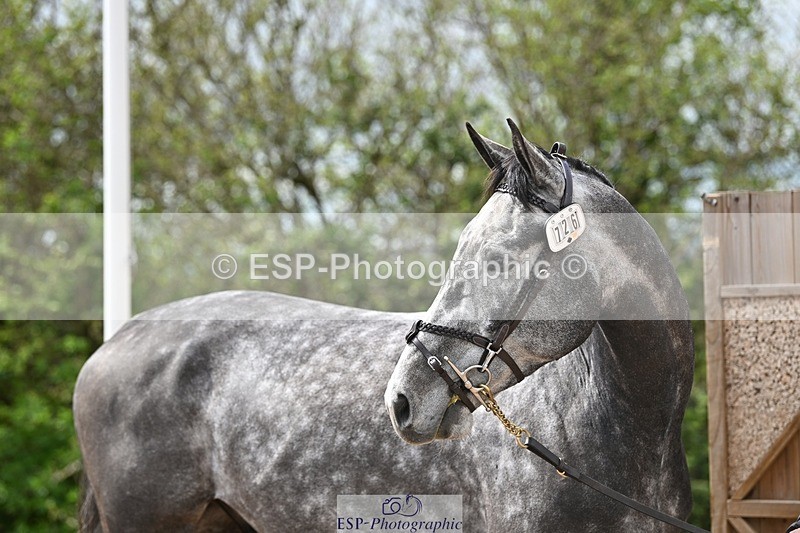 250423-133744-00708 - 1pm to 2pm