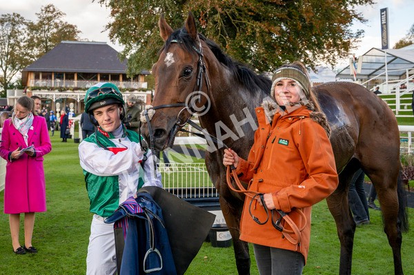 111024-Race 3-Minstrel Knight-7131 - Race 3 2.40pm William Hill Finale Handicap