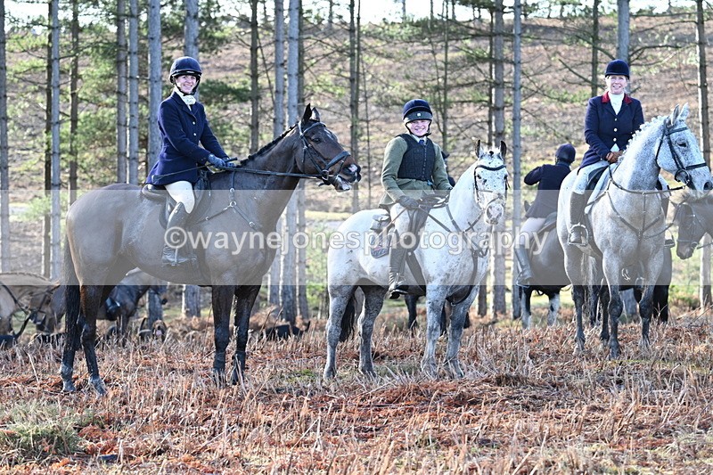 WJ7_7181 - Line 3 (no line 4 or 5)