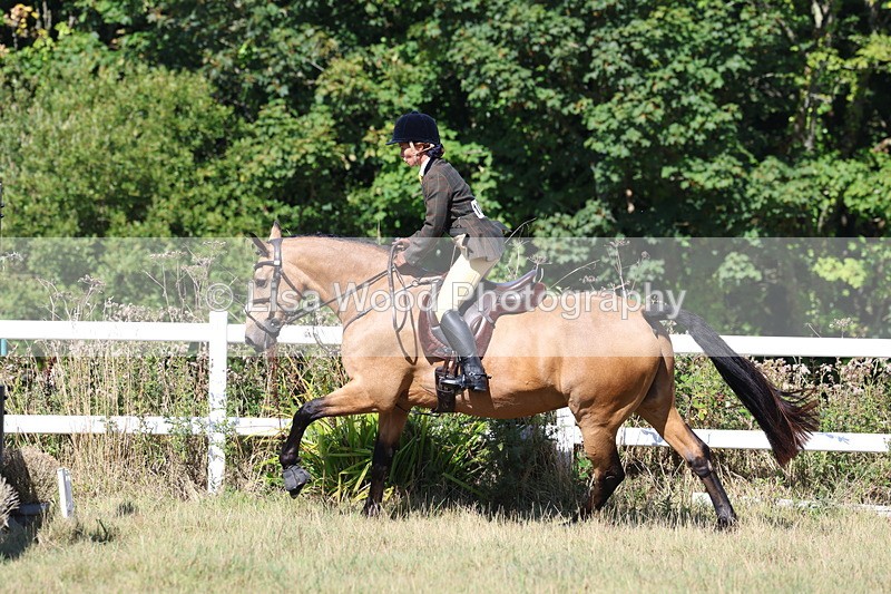 3E7A5835 - Class 5: Working Hunter 90cm