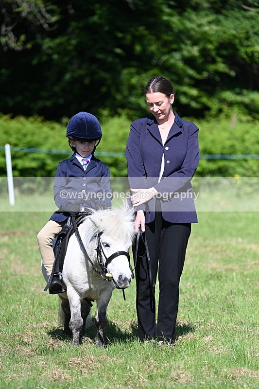 WJ7_0442 - Class 8 First Rally Pony