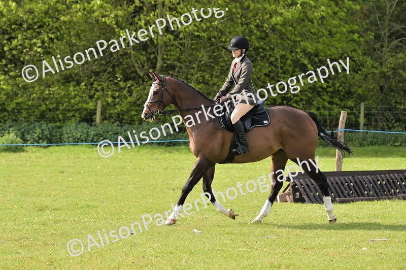 20260426-0938 - Class 18 - Novice Showing